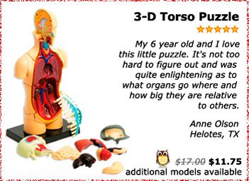 3D Torso Puzzle